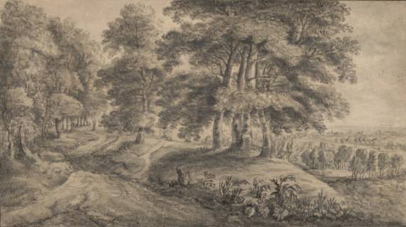 Jacques d'Arthois - Wooded Landscape