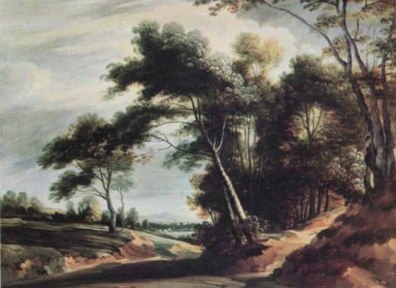 Jacques d'Arthois - A Wooded Landscape