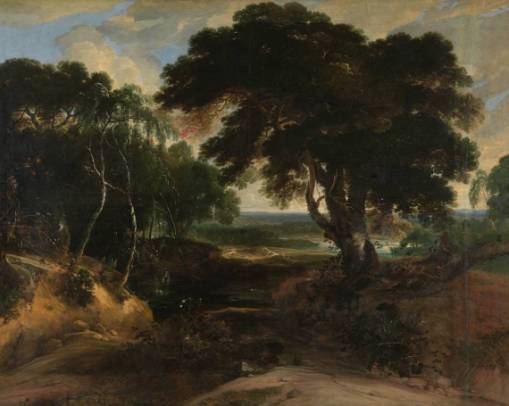 Jacques d'Arthois - Wooded Landscape