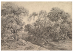 CB 590: Forest Landscape Work 590: Forest Landscape