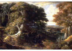 CB 6118: Landscape Work 6118: Landscape