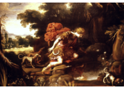 CB 6287: Narcissus Work 6287: Narcissus