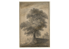 CB 6670: High Tree Work 6670: High Tree