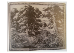 CB 6678: Wooded Landscape Work 6678: Wooded Landscape