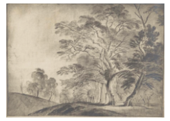 drawings CB:7022 Woody Landscape