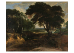 CB 891: Wooded Landscape Work 891: Wooded Landscape