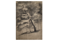 CB 950: Trees Study Work 950: Trees Study